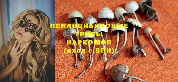 apvp Армянск