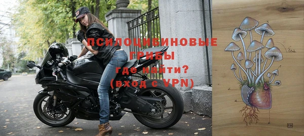 СК Арсеньев