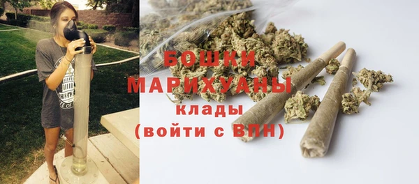 бошки Аркадак