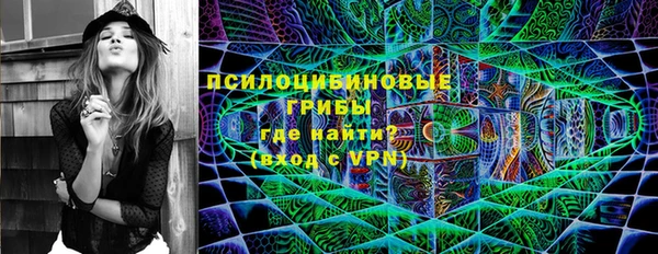 СК Арсеньев