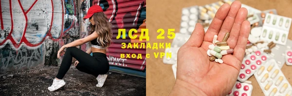бошки Аркадак